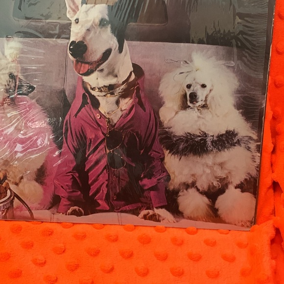 Pre- owned Rick Springfield vinyl record - Picture 4 of 10